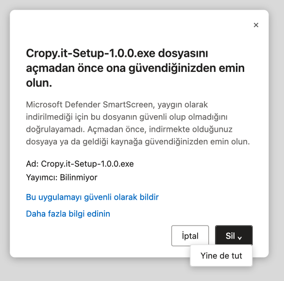 Microsoft Edge: İndirmeyi sakla – Yine de sakla'ya tıkla